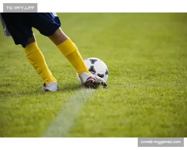 瑞士多语言文化融合下足球展现民族凝聚力与国家独特魅力